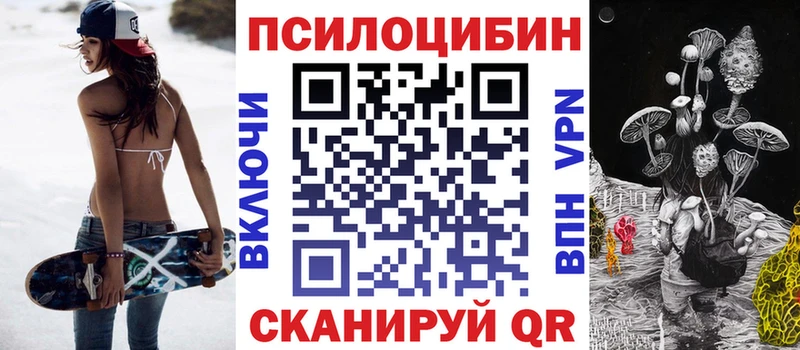 где купить наркотик  Верхняя Пышма  Псилоцибиновые грибы GOLDEN TEACHER 